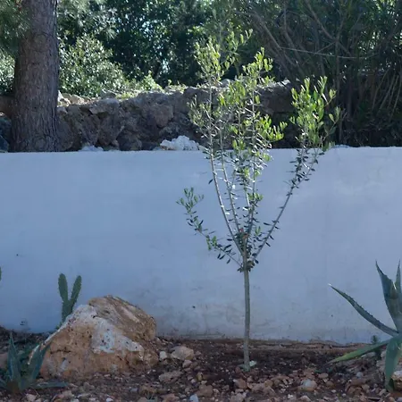 Villa Magic View Vis